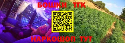 соль ск Моздок