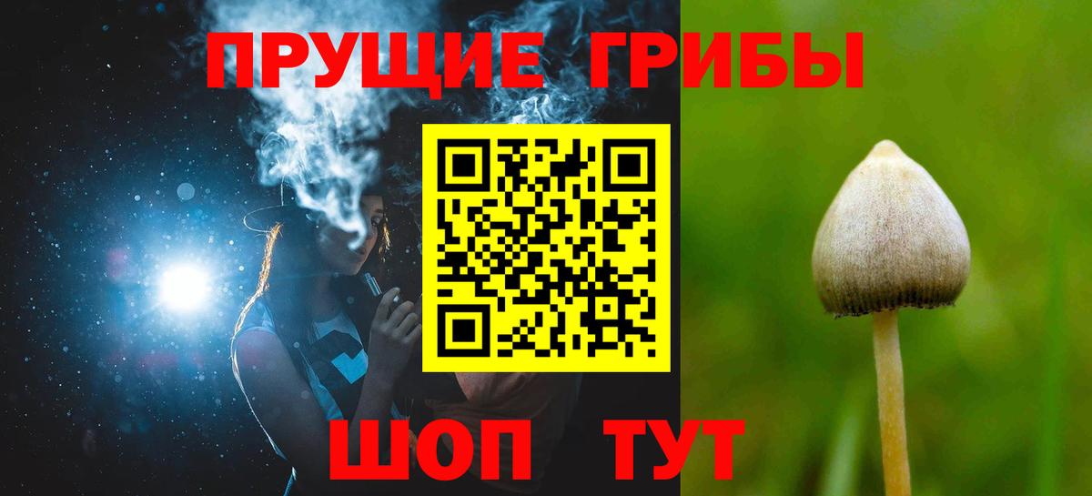 Городец  купить   Вход с VPN  Псилоцибиновые грибы GOLDEN TEACHER 